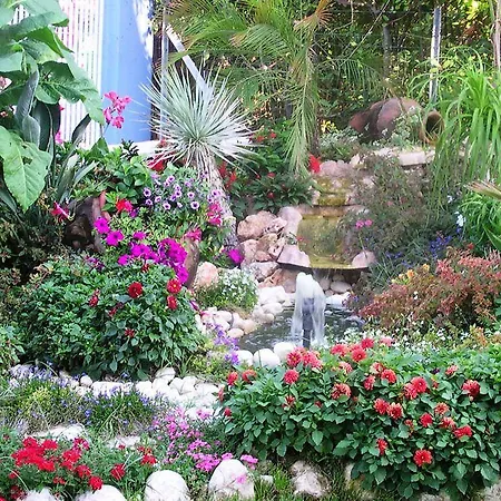 Le Palme ホテル
