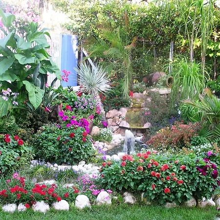 Le Palme 3* סבאודיה